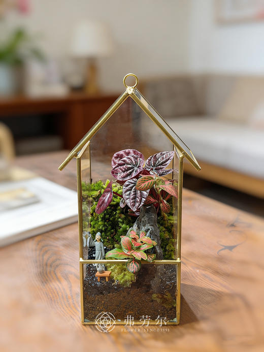 苔藓微景观（小） 商品图0