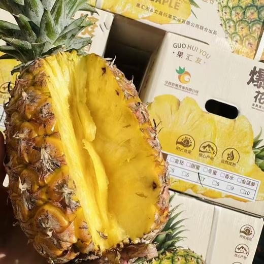 凤梨先声金钻凤梨 海南产区 商品图5