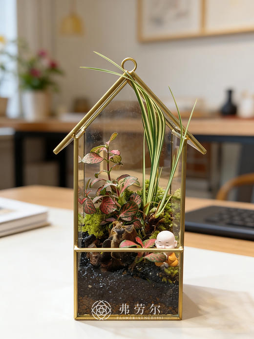 苔藓微景观（小） 商品图0