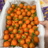香芒皇后黄千禧 爆汁高糖小番茄 商品缩略图5