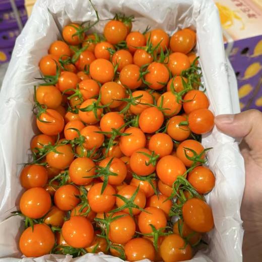 香芒皇后黄千禧 爆汁高糖小番茄 商品图5