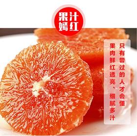 【助农】新溪源 秭归红橙9斤 果径大于等于85mm