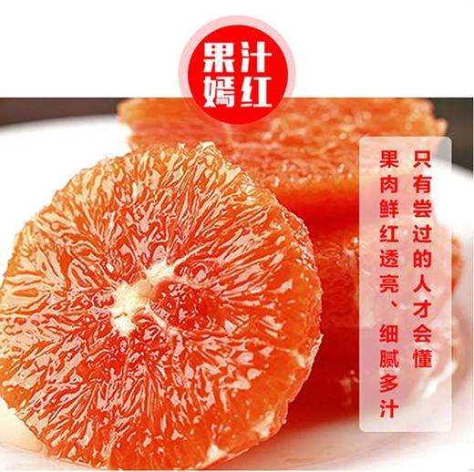 【助农】新溪源 秭归红橙9斤 果径大于等于85mm 商品图0