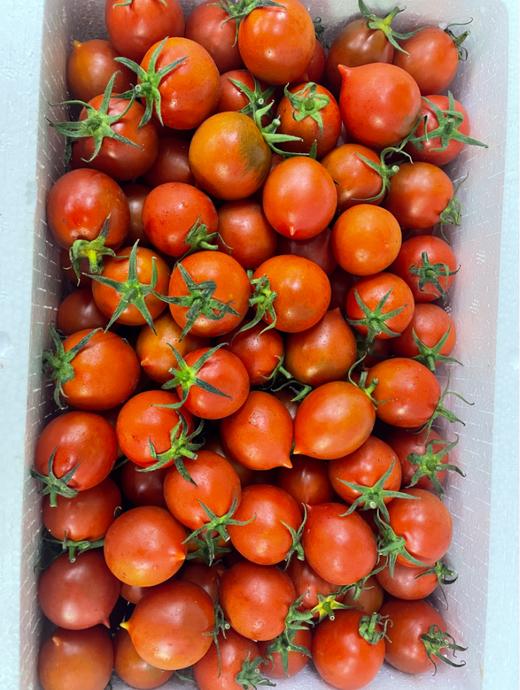 铁桃柿子2斤 商品图0