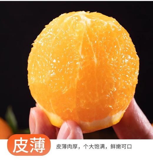 【助农】新溪源 秭归红纽荷尔9斤 果径大于等于85mm 商品图5