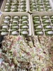 百财水饺（白菜猪肉馅） 商品缩略图1