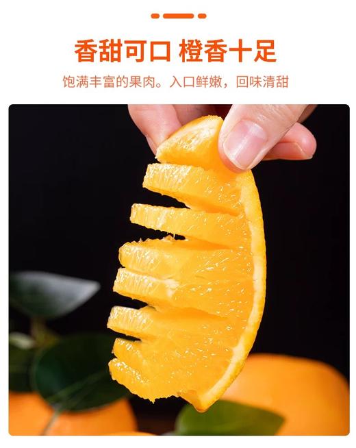 【助农】新溪源 秭归红纽荷尔9斤 果径大于等于85mm 商品图6