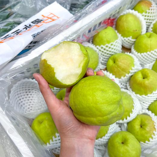 新疆库尔勒香梨 太阳果 梨果 商品图0