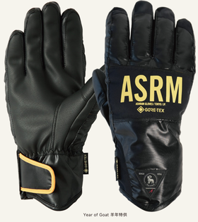 26/27ASRM手套DGMA 5 黑金五指