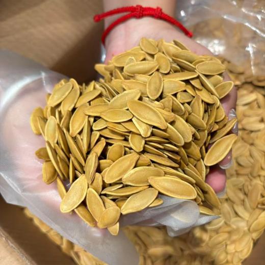 美人指 南瓜子 越磕越上头 商品图1