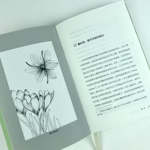 读者书店 | 《芳香世界：香味的博物志》从简朴的花园到影响深远的历史事件，人类和植物共同创造了许多充满芬芳的故事 商品图3