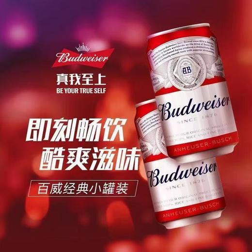 百威啤酒矮听  酒精度3.6°  麦芽度9.7° 商品图2