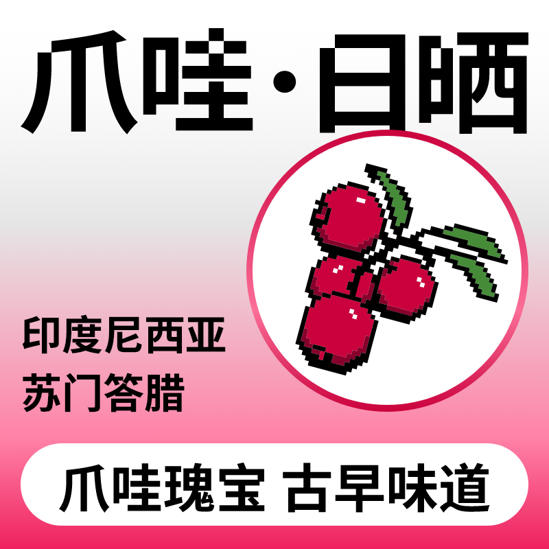 捌比特 印尼苏门答腊爪哇 Java浅中烘焙手冲精品日晒咖啡豆 100g