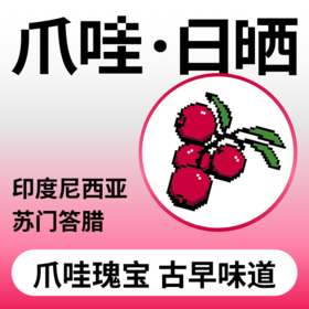 捌比特 印尼苏门答腊爪哇 Java浅中烘焙手冲精品日晒咖啡豆 100g