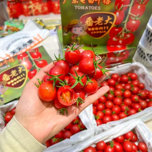 蕃老大红千禧小番茄 商品图0