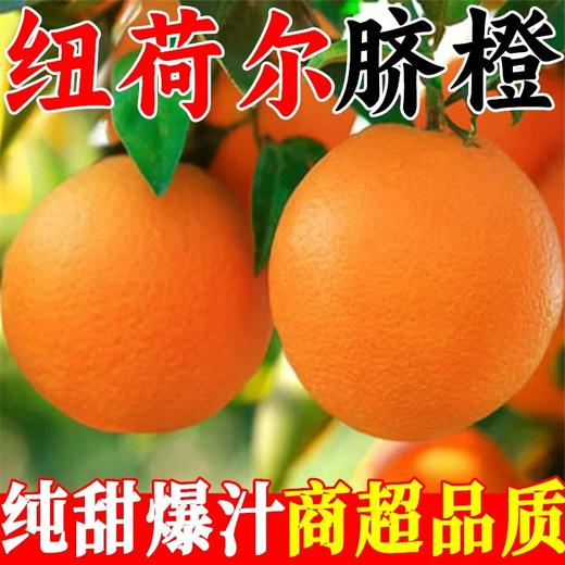 【助农】新溪源 秭归红纽荷尔9斤 果径大于等于85mm 商品图0