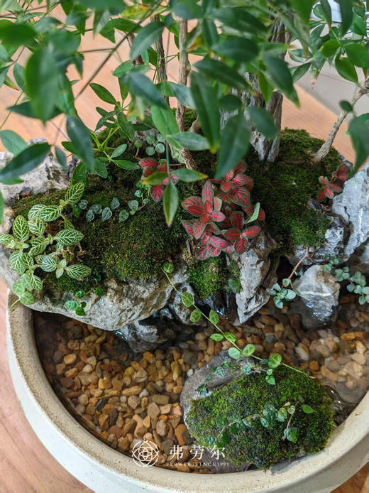 水陆造景 商品图2