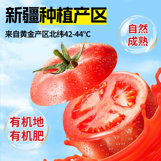 210ml有机番茄汁 商品图5