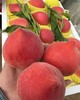 红梅水蜜桃一个 商品缩略图0
