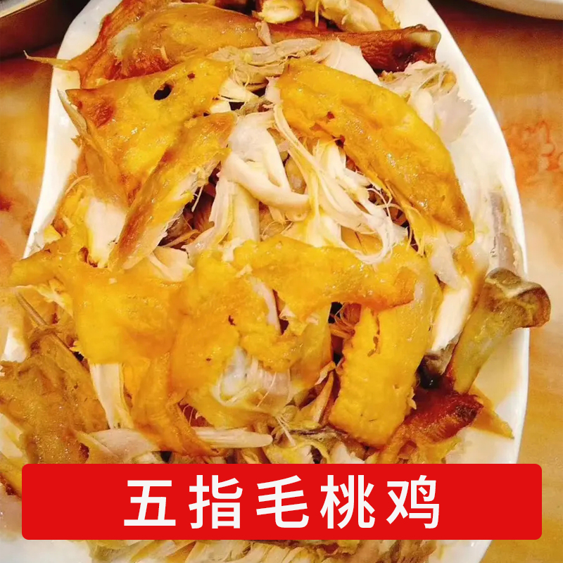 【开袋即食】广东清远清新 清远鸡 五指毛桃鸡