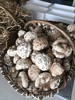 新鲜港款原味雪中冬花菇 商品缩略图2