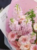温婉女神 商品缩略图2