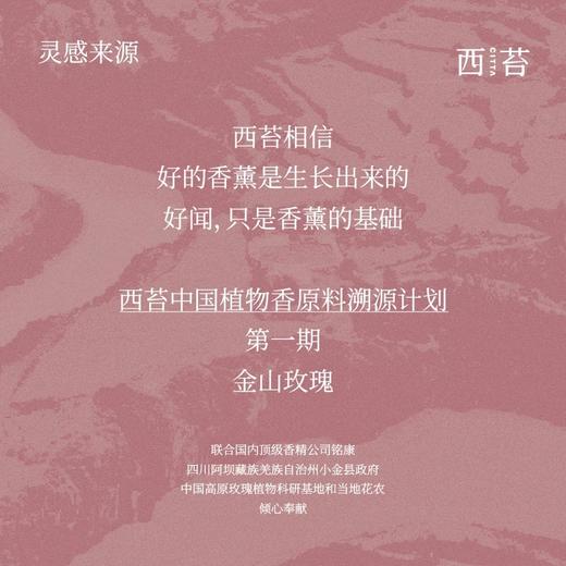 西苔金山玫瑰系列 商品图3