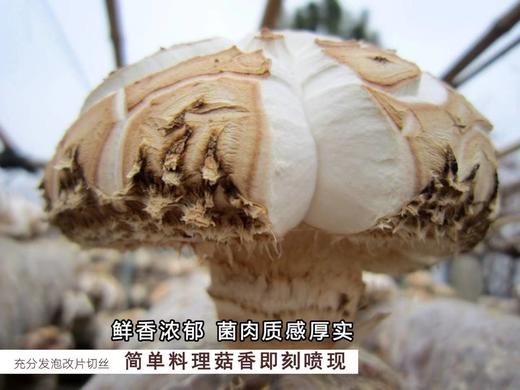 新鲜港款原味雪中冬花菇 商品图1
