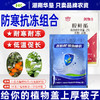 植物防冻组合农药胺鲜酯植物棉衣农药专用生长调节剂农用农药组合 商品缩略图1