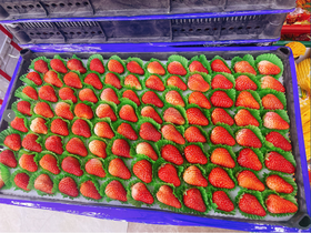 8排草莓一箱