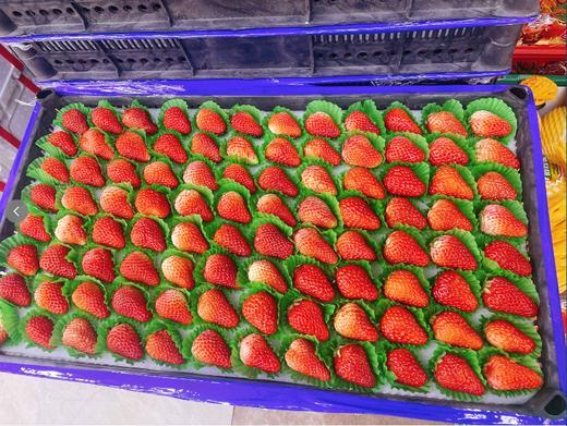 8排草莓一箱 商品图0