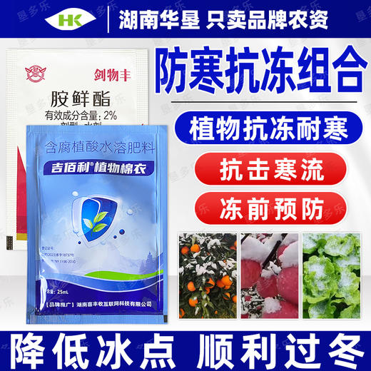 植物防冻组合农药胺鲜酯植物棉衣农药专用生长调节剂农用农药组合 商品图4