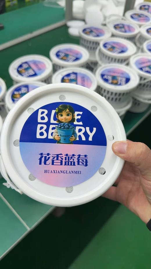 云南空运L25蓝莓 净450克装 抚仙湖高山蓝莓 商品图2