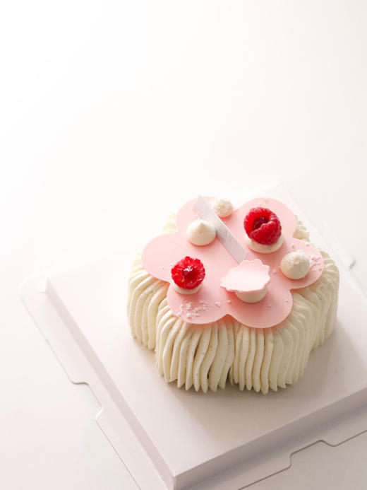 芭乐椰子树莓慕斯 商品图1