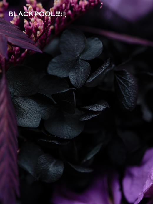 守护花・紫霞（紫色） 商品图6