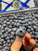 散蓝莓一斤 商品缩略图3