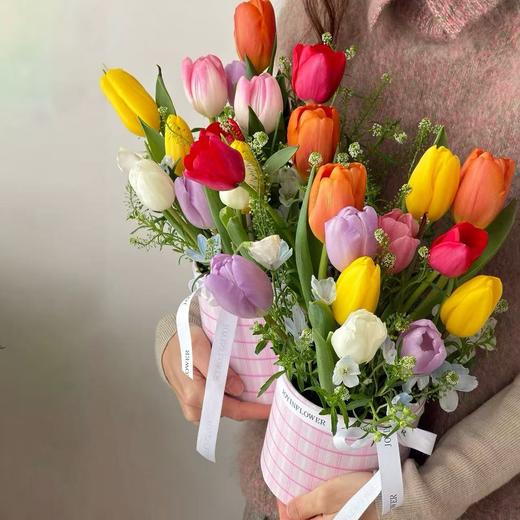 缤纷郁金香抱抱桶（5份起购） 商品图0