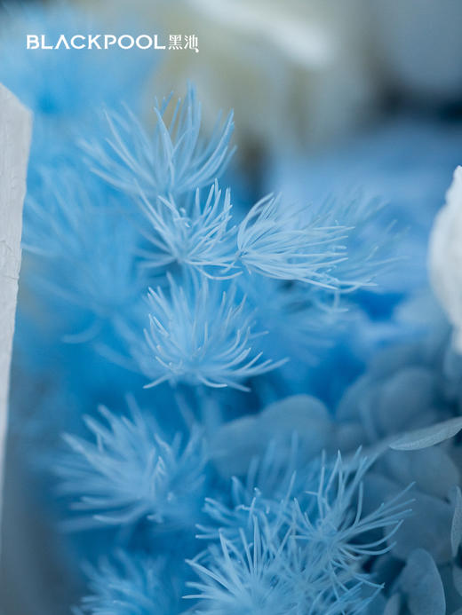 守护花·汐月（蓝色） 商品图4