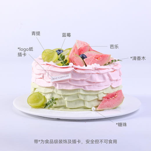 春时舞动 商品图2