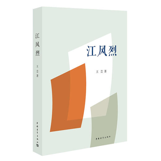 江风烈 王芸著 中国青年出版社 商品图1