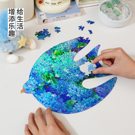 TOi图益-异拼乐-潮玩拼图镜面系列-自由的一天-相框套装 商品图3