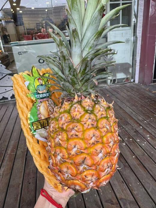 豆奶凤梨 2.4斤左右/枚 商品图0