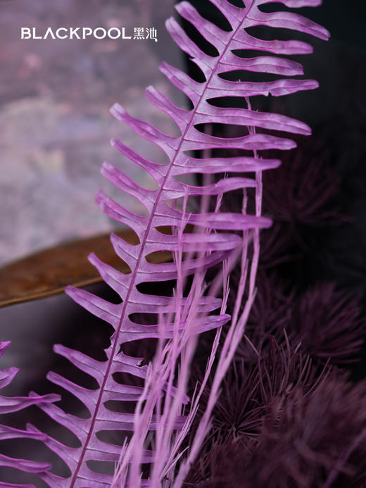 守护花・紫霞（紫色） 商品图4