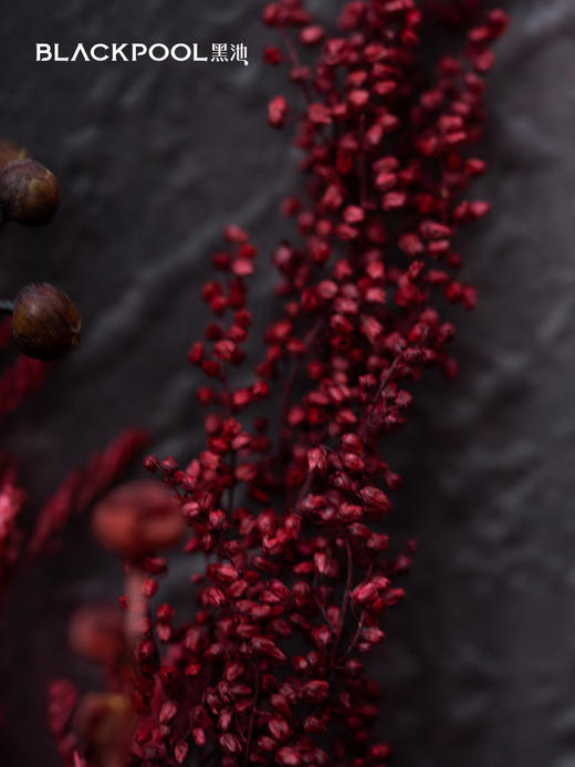 守护花・炽焰（红色） 商品图3