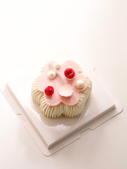 芭乐椰子树莓慕斯 商品图2