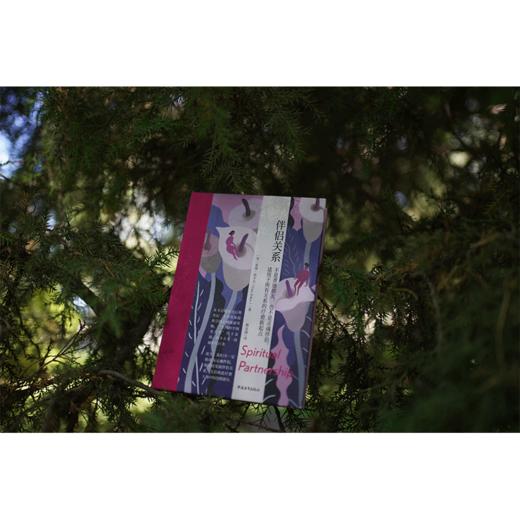 伴侣关系[美] 盖瑞·祖卡夫 蔡孟璇译 中国青年出版社 商品图5