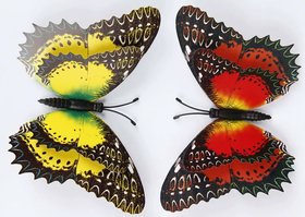 3D立体仿真大蝴蝶墙贴