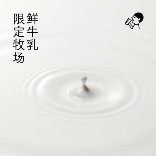 喜茶茉莉浓抹牛乳茶奶茶饮料350ml 商品图2