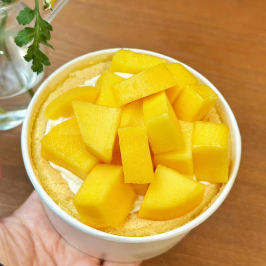 春系列减糖：4寸芒果爆浆碗 商品图6