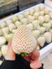 奶油白草莓一斤 商品缩略图2